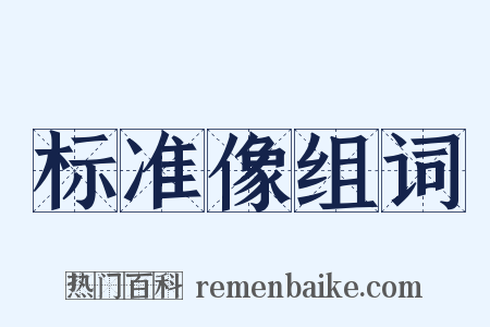 标准像组词是什么意思的图片